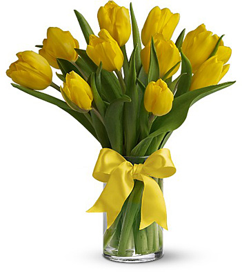 Sunny Yellow Tulips from Racanello Florist in Stamford, CT